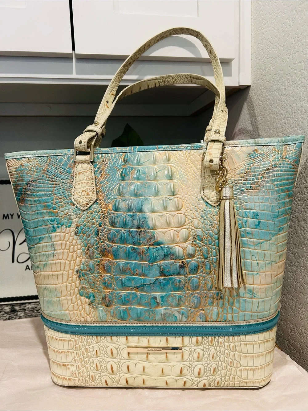 Brahmin Serendipity Schulz Asher Tote with Tassel